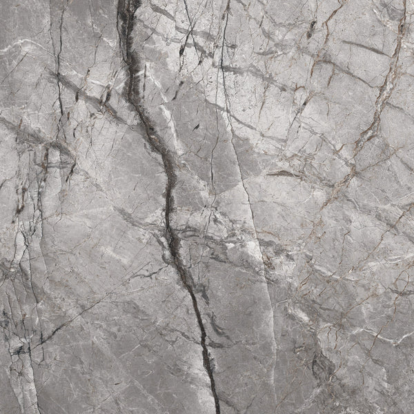 SILVER ROOT SERIES