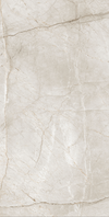 SILVER ROOT SERIES