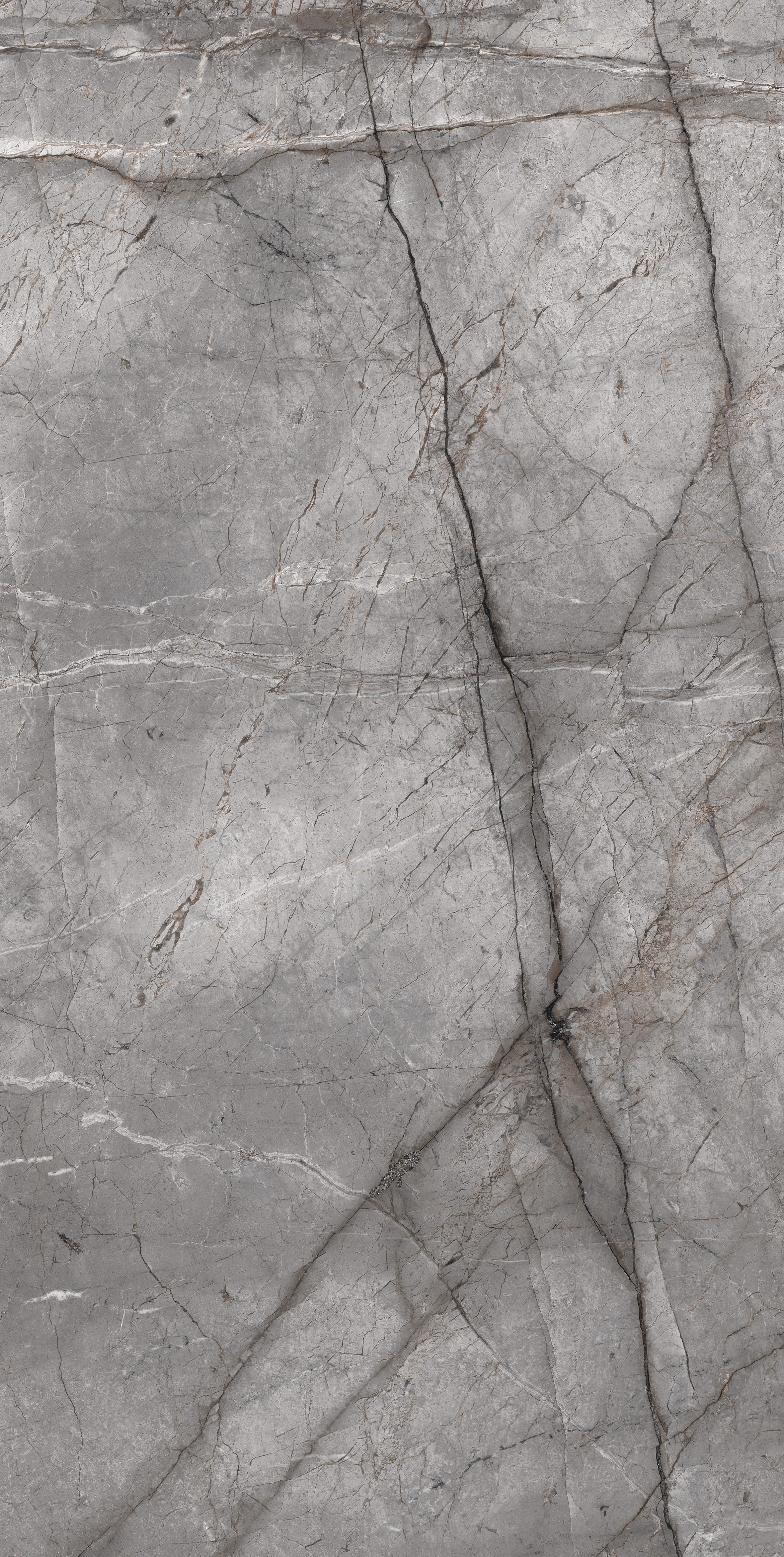 SILVER ROOT SERIES