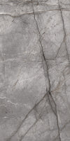 SILVER ROOT SERIES