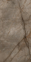 SILVER ROOT SERIES