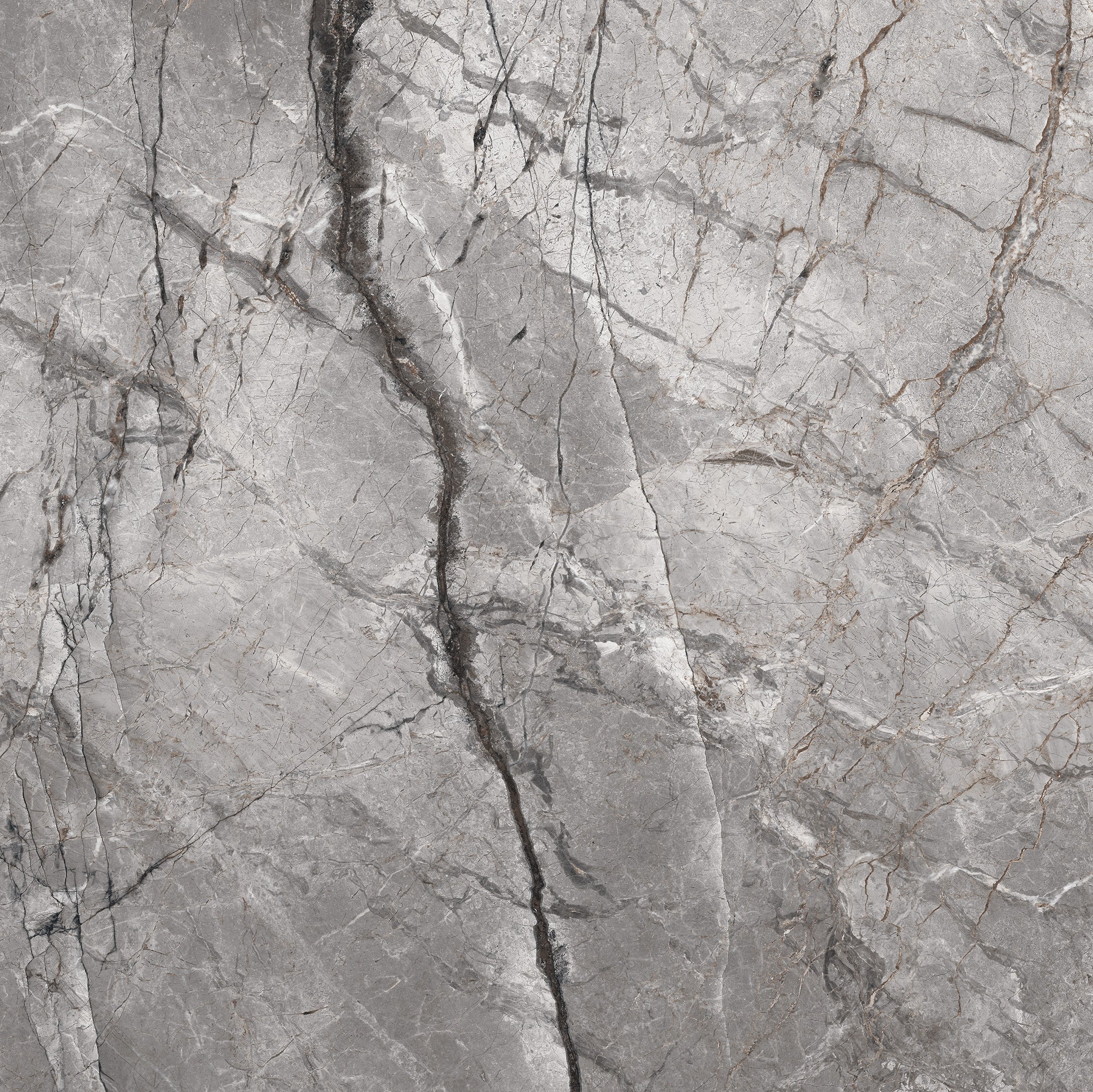 SILVER ROOT SERIES