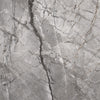 SILVER ROOT SERIES