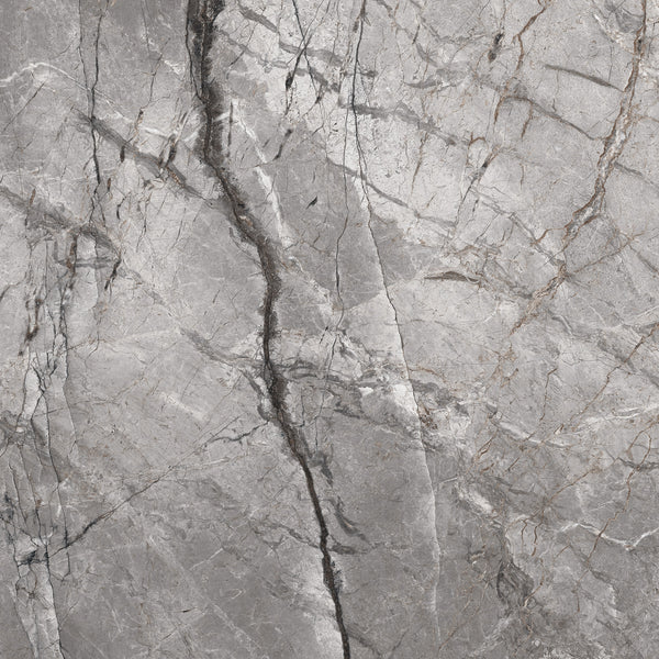 SILVER ROOT SERIES