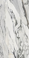 PICASSO SERIES